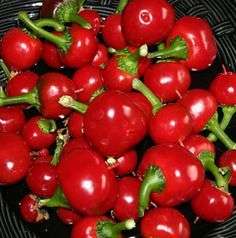 SALE 20% OFF TIL XMAS!! Pepper seeds - Satan's Kiss 10 seeds - New!!