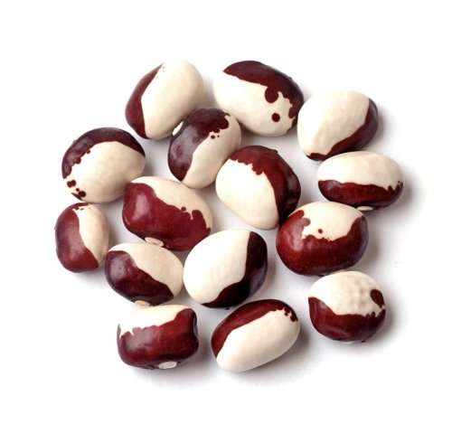 SALE 25% OFF TIL XMAS!! Beans - Red Calypso 10 seeds - New!! Beautiful