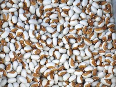 SALE 25% OFF TIL XMAS!! Beans - Butterscotch 10 seeds - New!! Beautiful