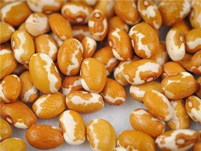 SALE 20% OFF TIL XMAS!! Beans - Zuni Gold 10 seeds - New!!