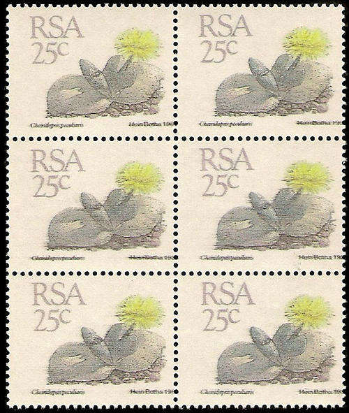 5th Definitive 25c Printed on Gum Side Block of 6