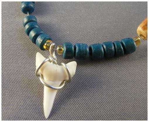 SHARK TOOTH NECKLACE!! TO CLEAR!!