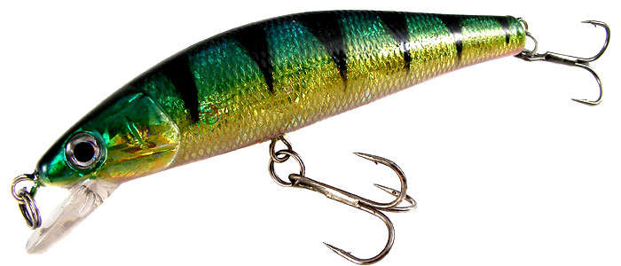 TEAM DAIWA Rattling Minnow Lures! Gamefish!