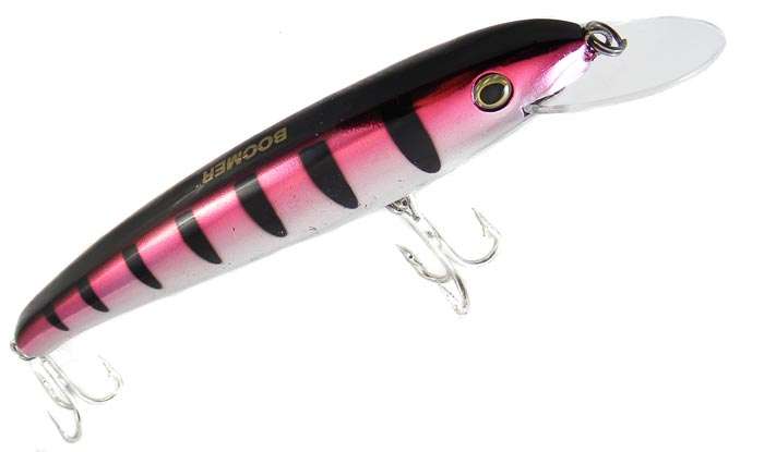 Lot of 6 NEW BOOMER 16/19cm Rattling Diving Lures!