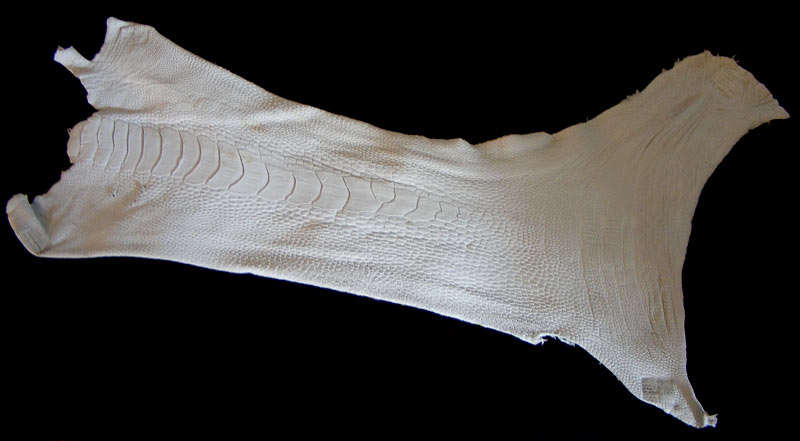 Genuine Tanned Ostrich Leather Leg Pieces - Undyed - 30 available