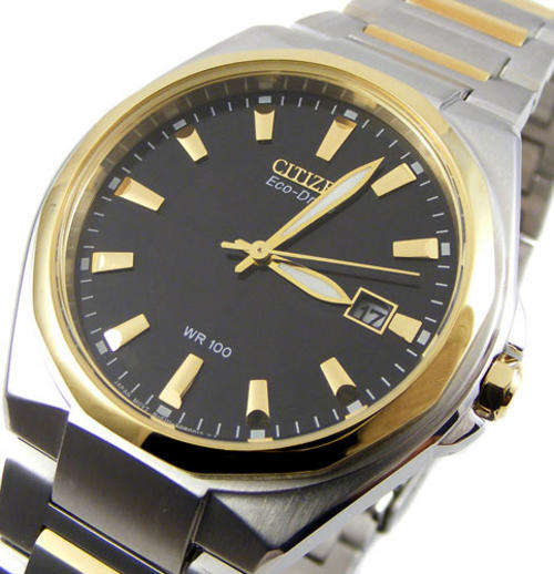 CITIZEN ECODRIVE TwoTone 6 Month Power Reserve