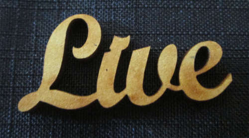 The Velvet Attic - Wood blank laser cutout  - Live