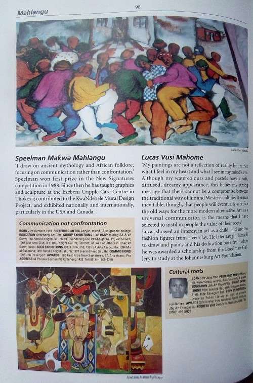 Tai Collard, The Collector's Guide to Art and Artists in South Africa