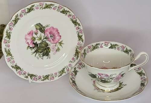 Royal Albert `Cotswold` (Avon Shape) Trio