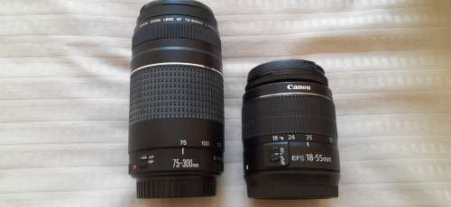 Canon Zoom Lenses with Filters and Backpack.