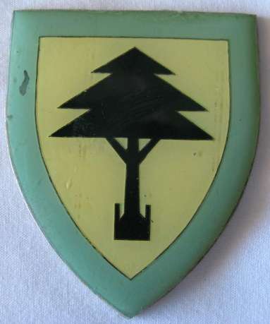 FLASH - MIDDEL KAROO COMMANDO - 1ST TYPE - ORIGINAL.  NO PINS