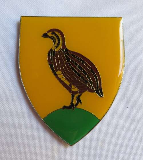 BLOEMFONTEIN DISTRICT COMMANDO FLASH- 3 PINS