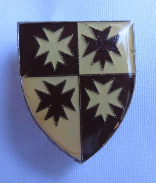 4 MEDICAL GROUP BATTALION FOB BADGE- 2 PINS
