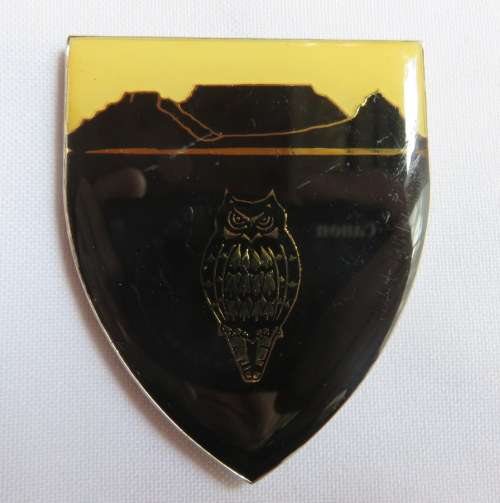 SA MILITARY INTELLIGENCE WESTERN CAPE FLASH- 3 PINS