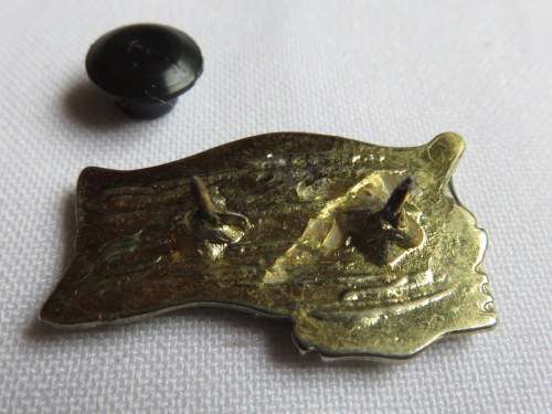 SWA SWAPO BADGE - 2 PINS