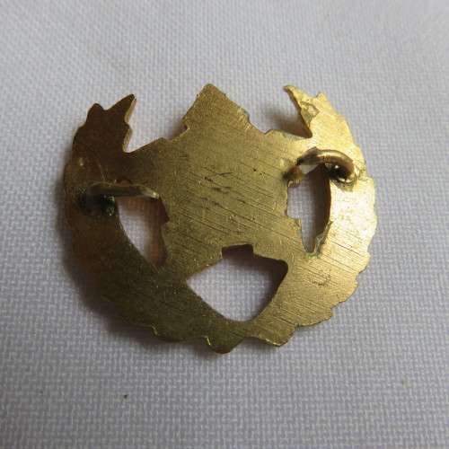 SA ARMY VOLUNTEERS BADGE- 2 PINS