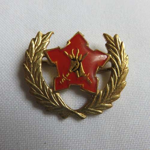 SA ARMY VOLUNTEERS BADGE- 2 PINS