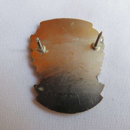 SAAF SCHOOL OF LOGISTIC TRAINING INSTRUCTOR'S BREAST BADGE-WORN POST 1986-2 PINS-SCARCE