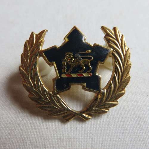 NAVY 5 YEAR VOLUNTEER BREAST BADGE-2 PINS-DARK BLUE VARIATION