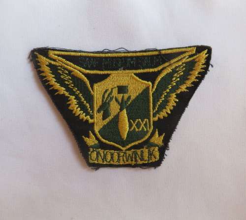 21 SQUADRON PATCH WORN IN THE 1980'S
