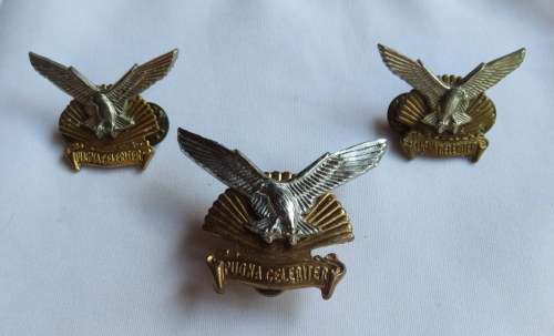 DURBAN REGIMENT BI-METAL CAP & COLLARS -LUGS + PINS INTACT