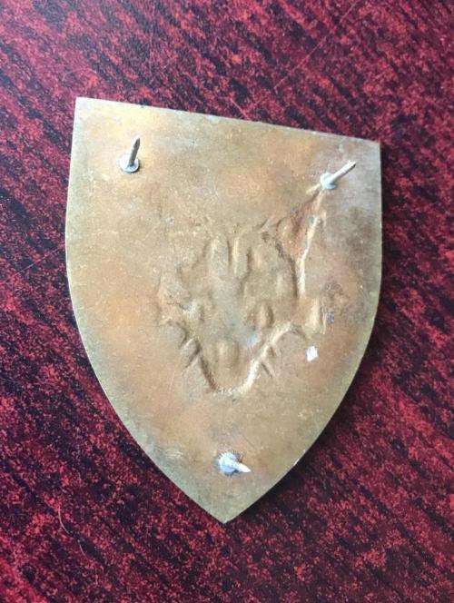 7 SA INFANTRY BATTALION FLASH- 3 PINS