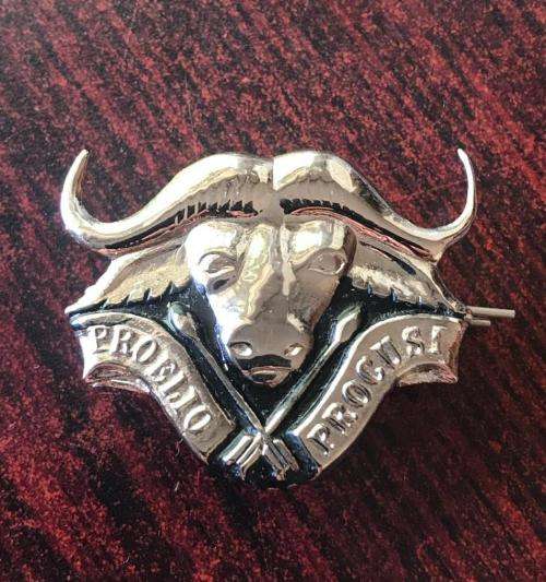 32 BATTALION CHROMED & ENAMEL CAP BADGE-APPROVED IN 1977-GUARANTEED ORIGINAL