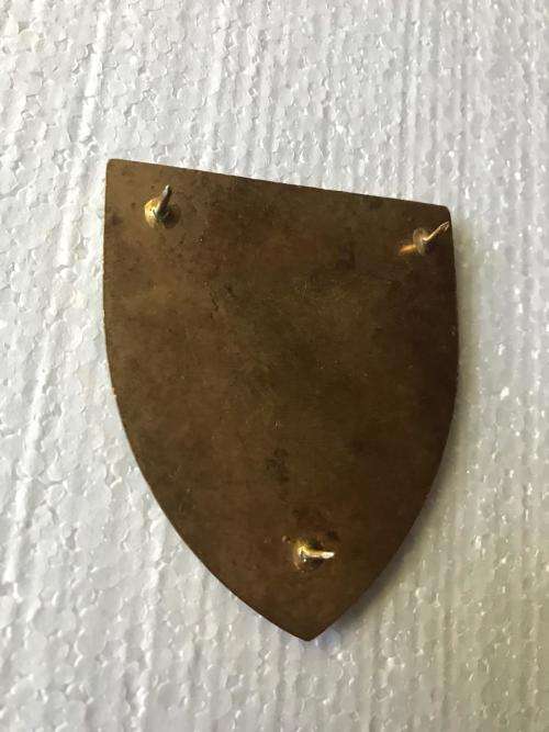 7 SA DIVISION FLASH- 3 PINS-ORIGINAL