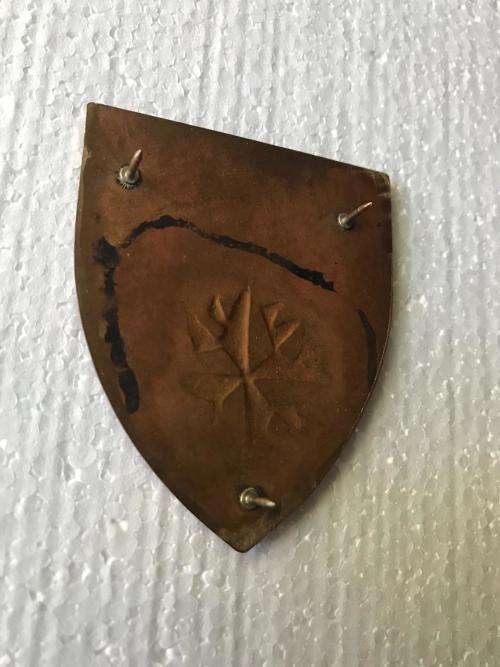 PROPOSED SHOULDER FLASH 2RR-PREVIOUSLY DISBANDED - 3 PINS