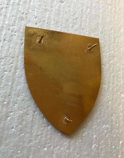 CHIEF OF STAFF LOGISTICS FLASH--GOLD TYPE- 3 PINS- ORIGINAL