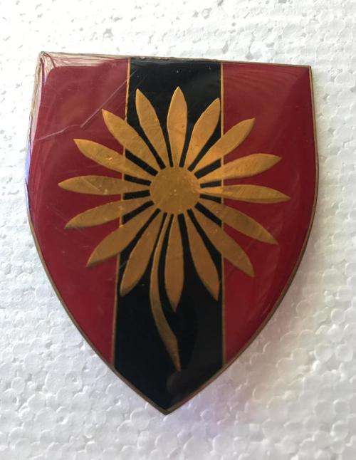 NORTHERN TRANSVAAL COMMAND PROVOST UNIT FLASH- 2 PINS REPLACED- ONE MISSING