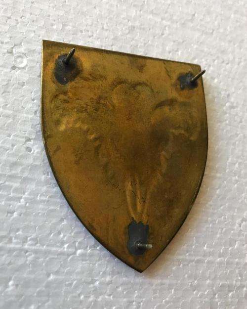 SOUTHERN CAPE COMMAND PROVOST UNIT FLASH- ORIGINAL- 3 PINS