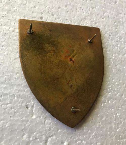 WITWATERSRAND DETENTION BARRACKS FLASH- 3 PINS- ORIGINAL