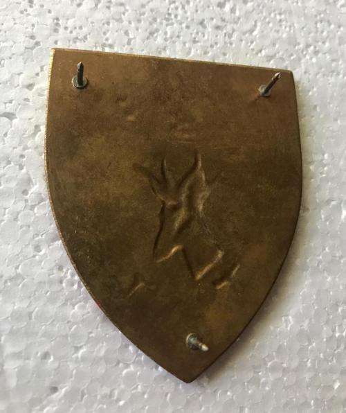 FAR NORTH COMMAND FLASH- 3 PINS- ORIGINAL