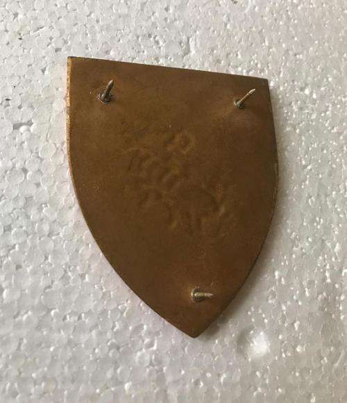 FAKE GATSRAND COMMANDO FLASH- ALTERED BY THE DEALER TO DONATE THE VARIOUS SPECIAL FORCES REGIMENTS -