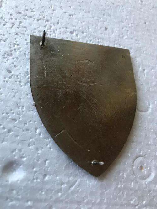 1 SPECIAL SERVICE BATTALION FLASH- 2 PINS- ORIGINAL