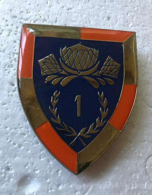 1 SPECIAL SERVICE BATTALION FLASH- 2 PINS- ORIGINAL