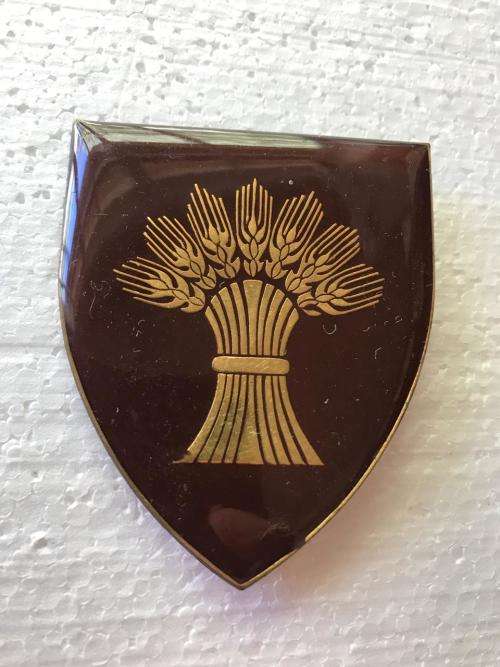 BETHLEHEM COMMANDO FLASH- ORIGINAL- 2 PINS- ONE REPLACED