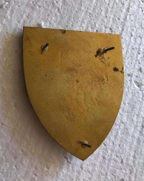 UNKNOWN FANTASY /FAKE FLASH- 3 PINS