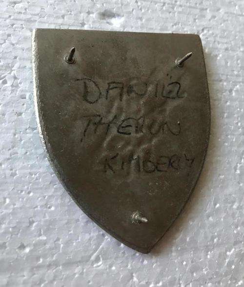 DANIE THERON COMBAT SCHOOL FLASH-ORANGE TYPE-ORIGINAL- 3 PINS