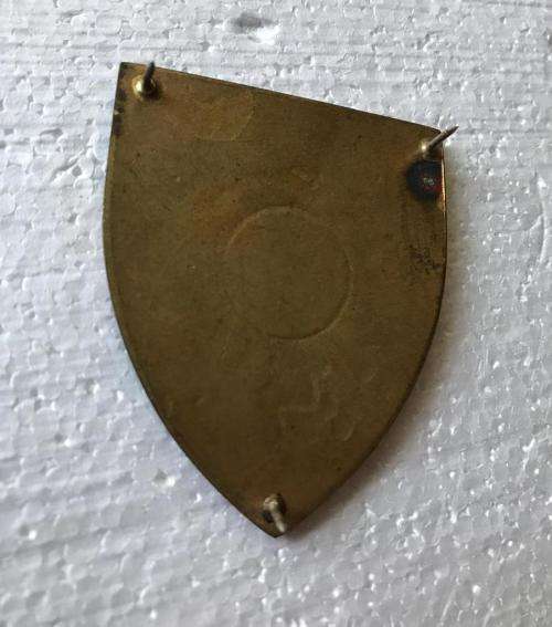 81 T STORES DEPOT-GOLD TYPE FLASH- 3 PINS