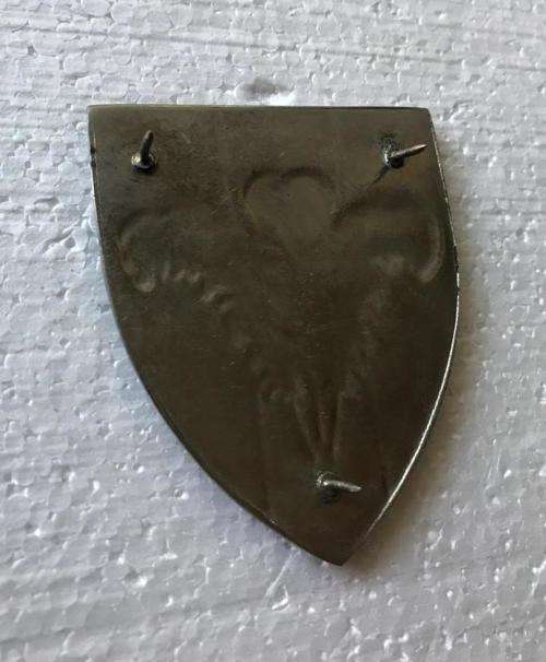 SOUTHERN CAPE SIGNAL UNIT FLASH- ORIGINAL- 3 PINS