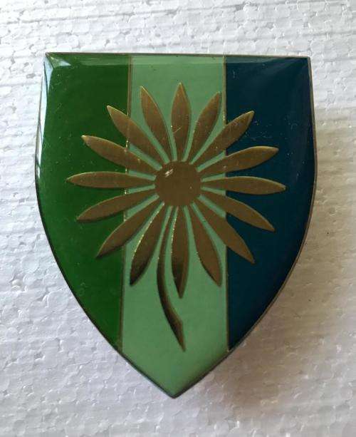 NORTHERN TRANSVAAL SIGNAL UNIT FLASH-ORIGINAL- 3 PINS