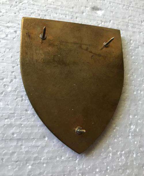 REGIMENT PRESIDENT KRUGER (TVL) FLASH- 3 PINS