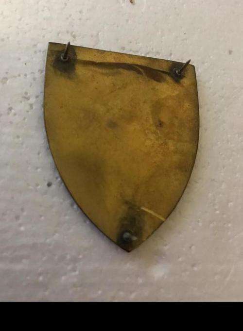 3 FIELD ENGINEER REGIMENT FLASH- ORIGINAL- 3 PINS