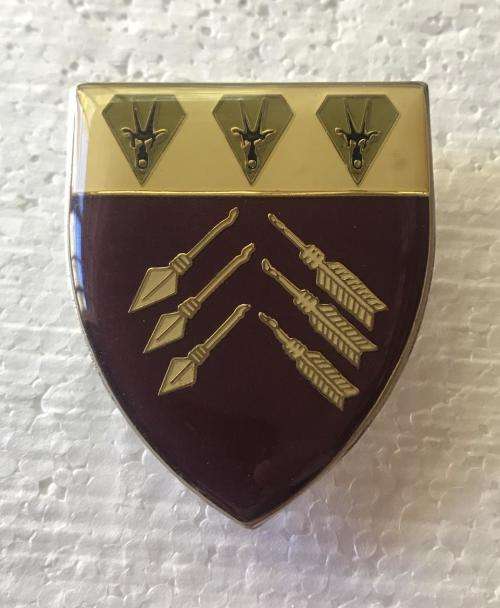 1SWA MEDICAL COMMAND POCKET FLASH- ORIGINAL- 3 PINS