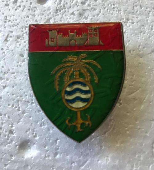 GROOTFONTEIN AREA FORCE UNIT POCKET FLASH- 3 PINS- ORIGINAL