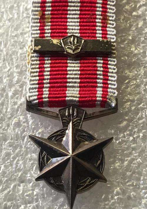 MINIATURE SA POLICE MEDAL FOR COMBATING TERRORISM (1974)-SILVER MEDAL