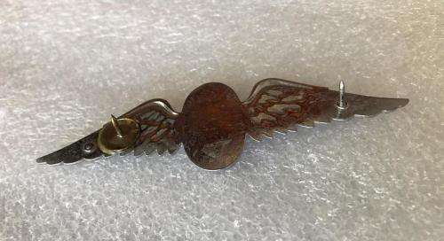 SA FREE FALL INSTRUCTOR WINGS-LUCITE COVERED CENTRE- INTRODUCED 1969-ORIGINAL- 2 PINS-ONE REPLACED