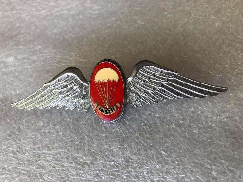 SA FREE FALL INSTRUCTOR WINGS-LUCITE COVERED CENTRE- INTRODUCED 1969-ORIGINAL- 2 PINS-ONE REPLACED